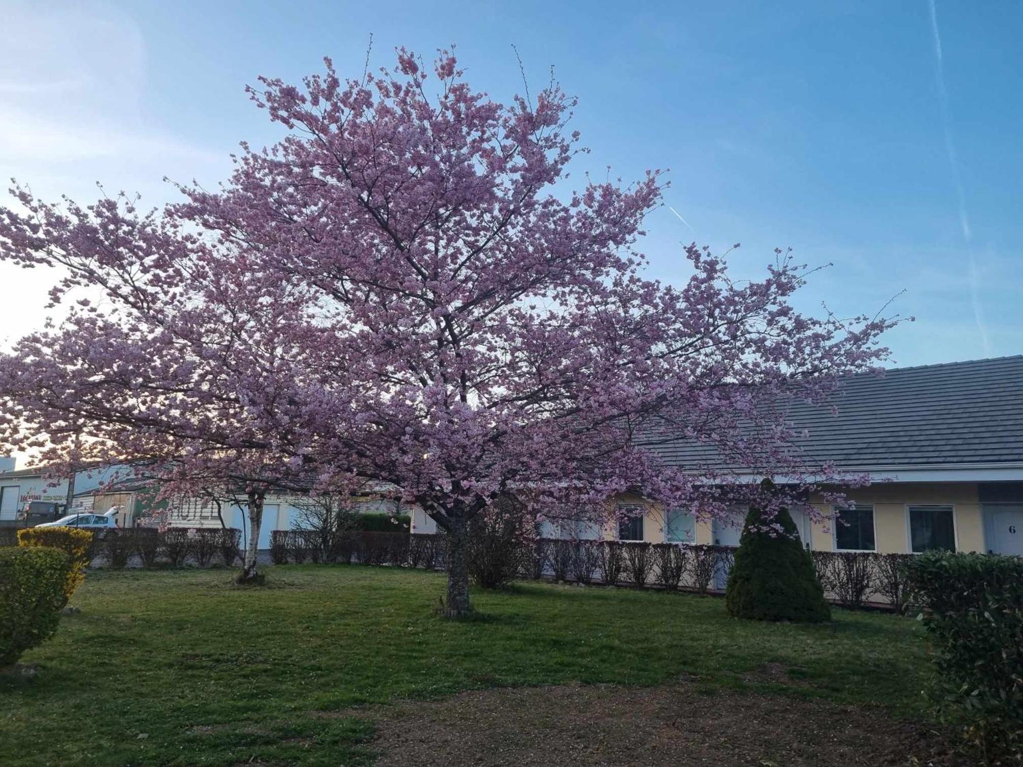 Riom-ès-Montagne The Originals Access, Hotel Le Lutea מראה חיצוני תמונה